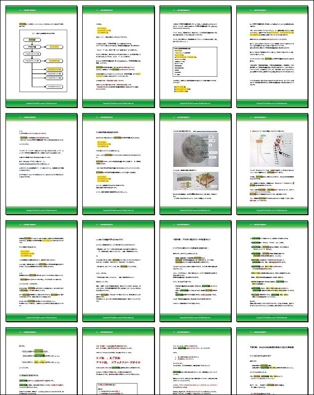 リノール酸低減式花粉症対策